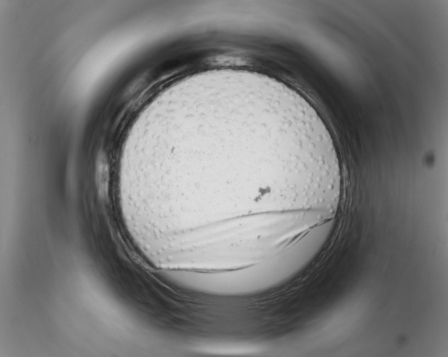 X0000115011151200912071158