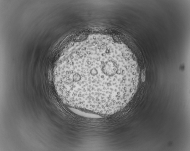 X0000115011155200912071157