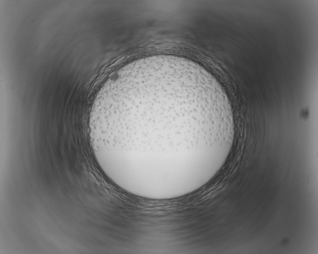 X0000115011156200912071157