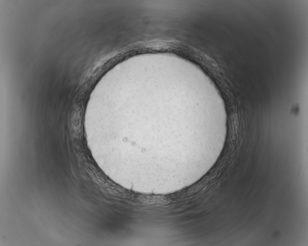 X0000115011158200912071157