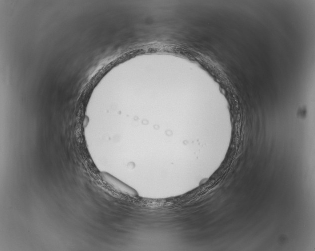 X0000115011160200912071157