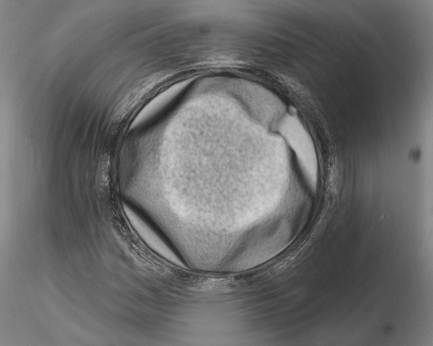 X0000115011161200912071157
