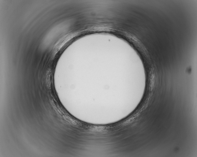 X0000115011162200912071157