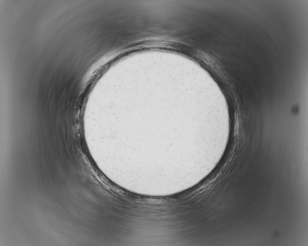 X0000115011164200912071157