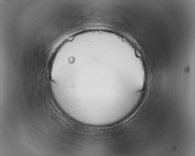 X0000115011167200912071157
