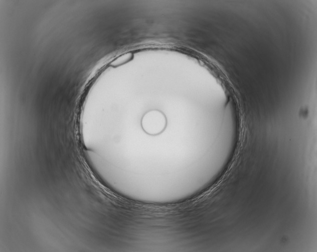 X0000115011168200912071157