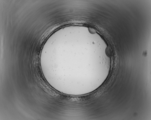 X0000115011169200912071157