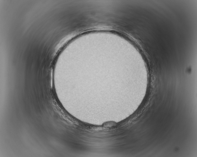 X0000115011171200912071157