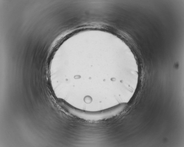 X0000115011172200912071157