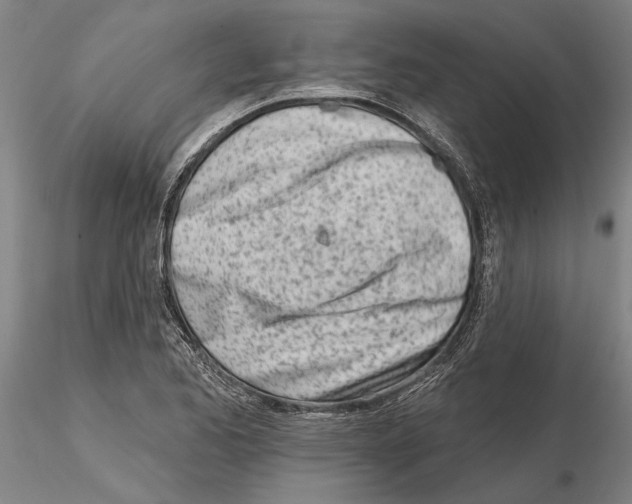 X0000115011173200912071157