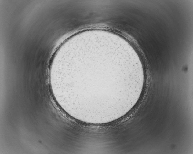 X0000115011176200912071157