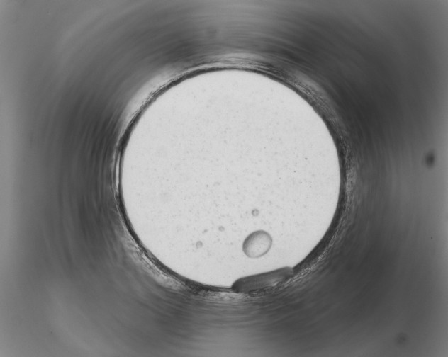 X0000115011180200912071157