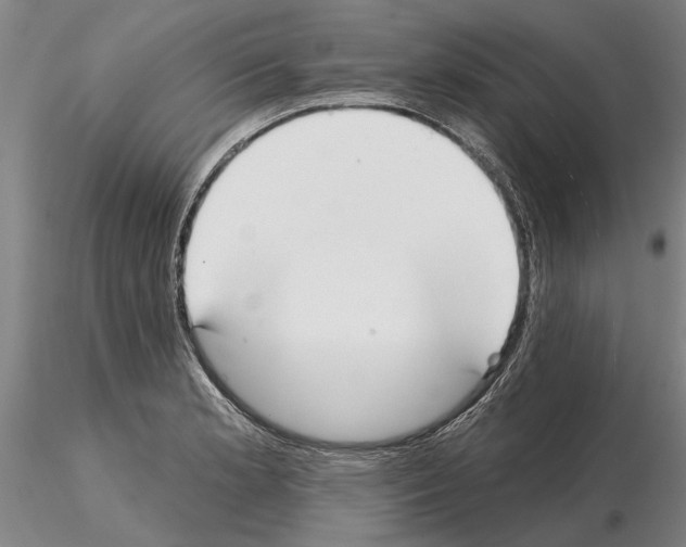 X0000115011181200912071157