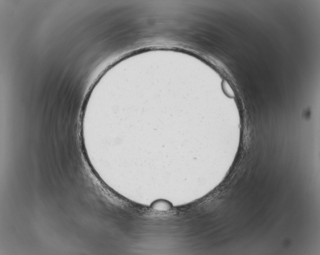 X0000115011183200912071157