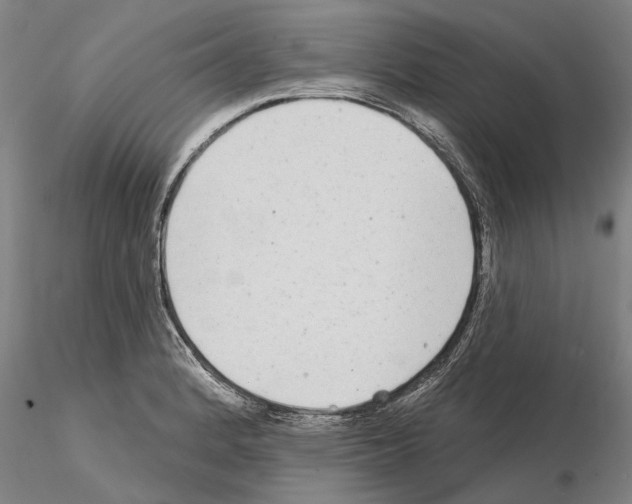 X0000115011184200912071157