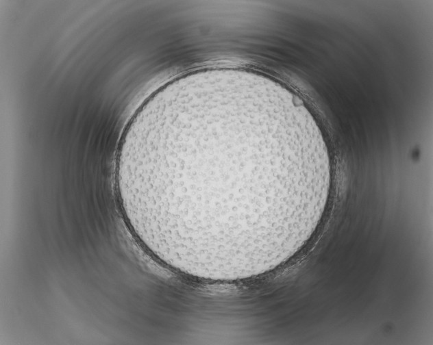 X0000115011186200912071157