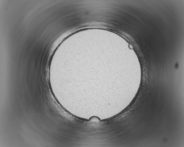 X0000115011188200912071157