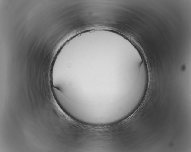 X0000115011189200912071157
