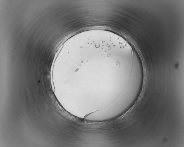 X0000115011193200912071157