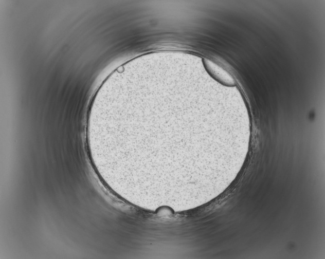 X0000115011195200912071157