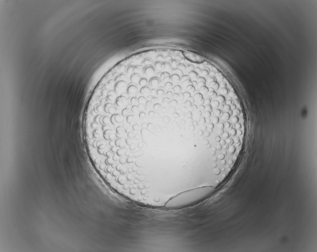 X0000115011196200912071157