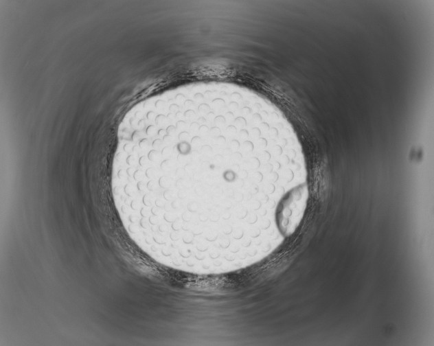 X0000115011201200912071156