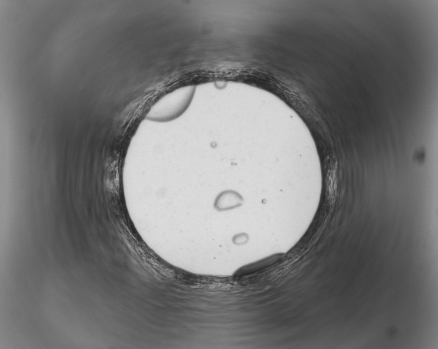 X0000115011204200912071156