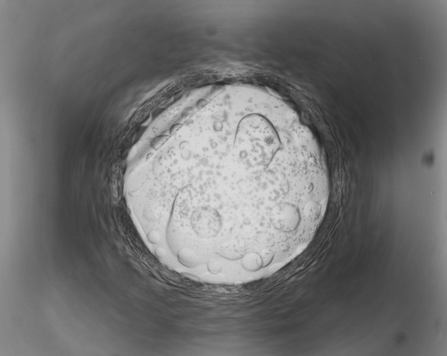 X0000115011205200912071156