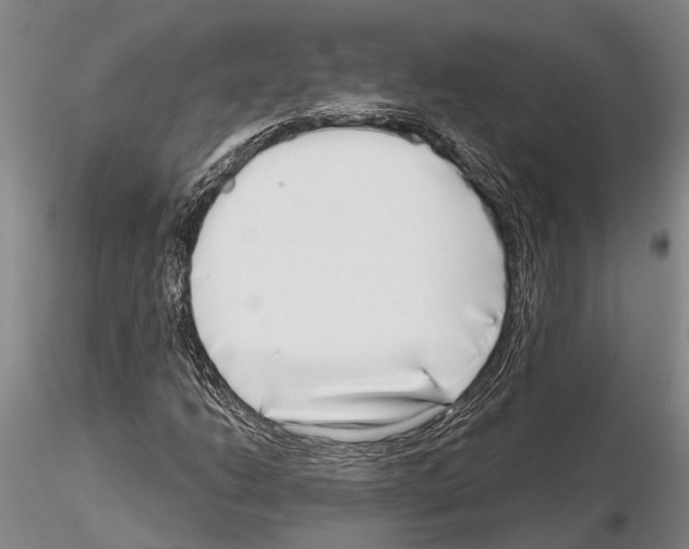 X0000115011206200912071156