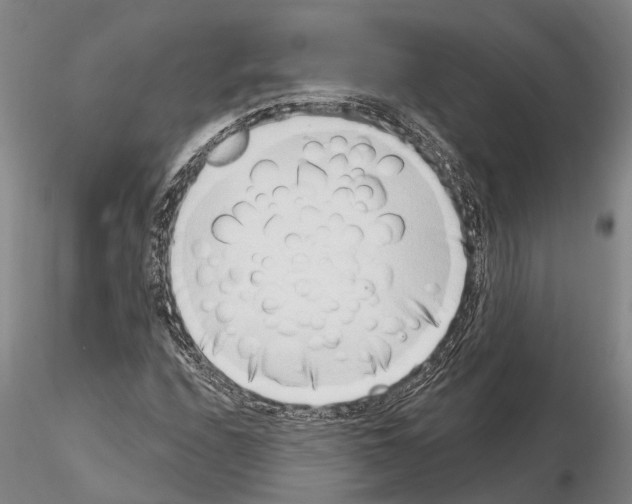 X0000115011208200912071156