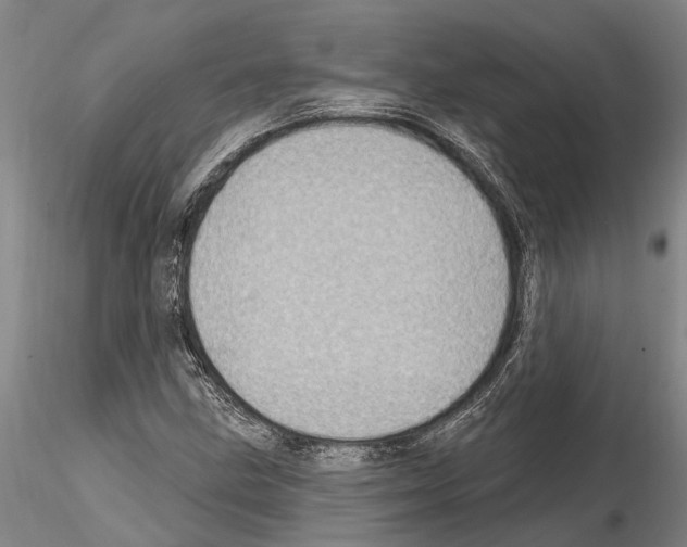 X0000115011211200912071156