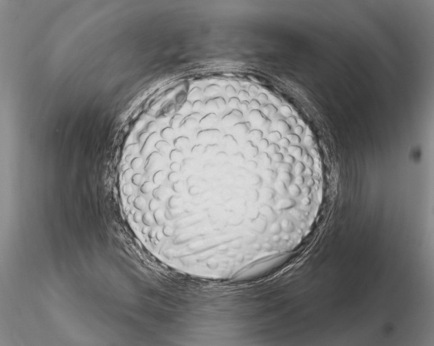 X0000115011212200912071156