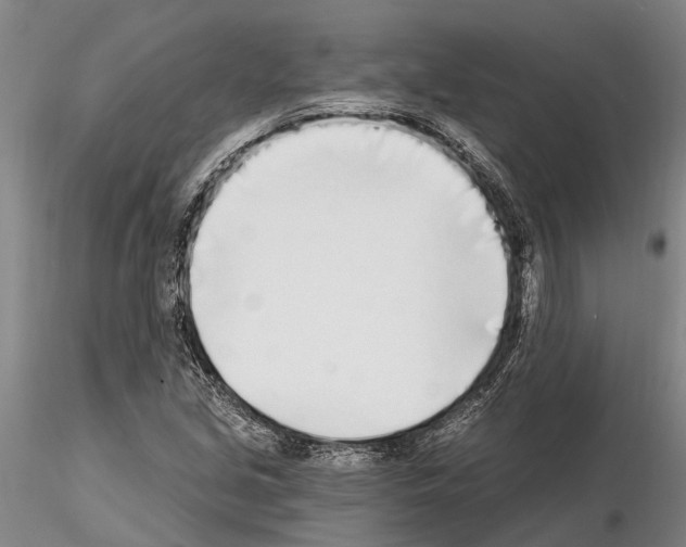 X0000115011213200912071156
