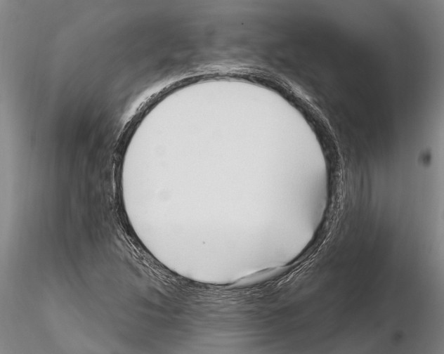 X0000115011214200912071156
