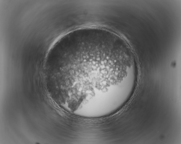X0000115011216200912071156