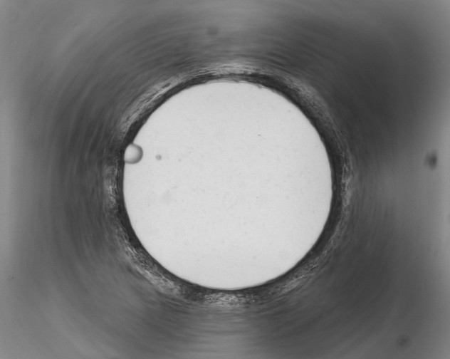X0000115011217200912071156