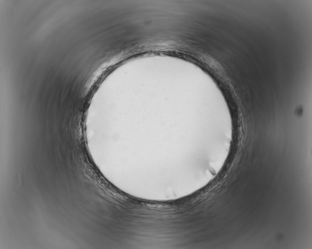 X0000115011218200912071156