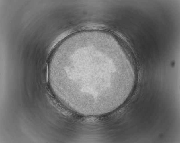 X0000115011219200912071156
