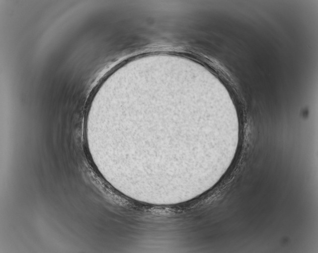 X0000115011220200912071156