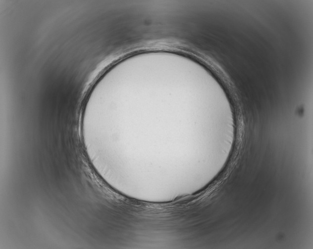 X0000115011224200912071156