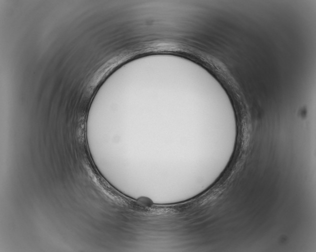 X0000115011225200912071156