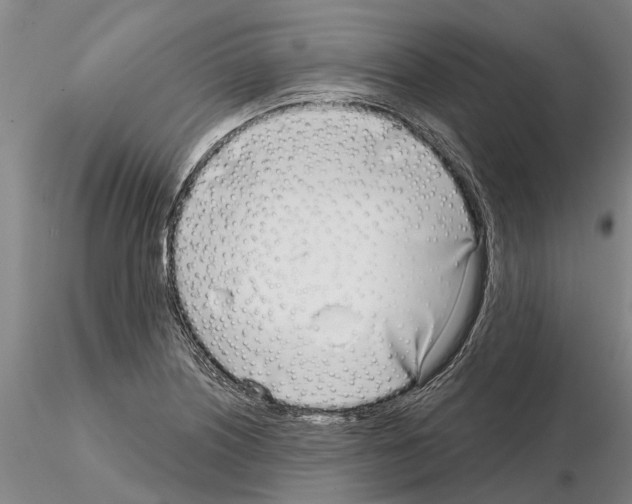 X0000115011226200912071156
