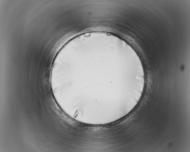 X0000115011228200912071156