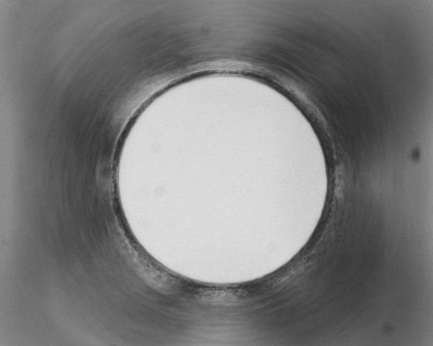 X0000115011229200912071156