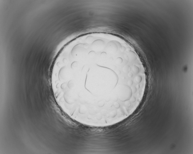 X0000115011230200912071156