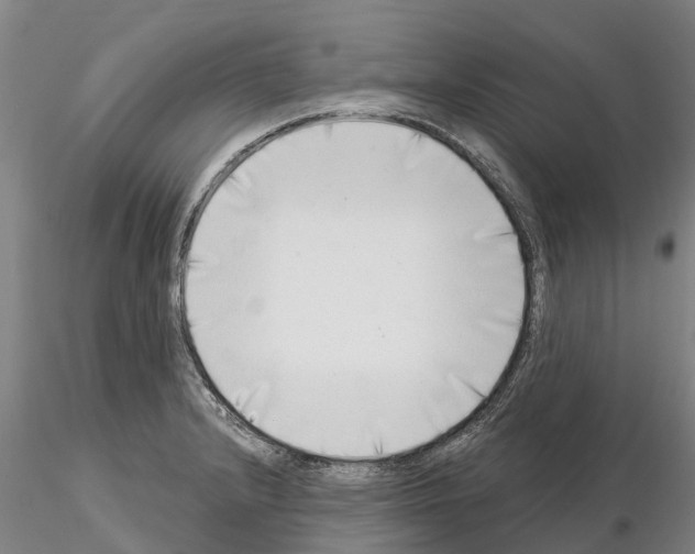 X0000115011232200912071156