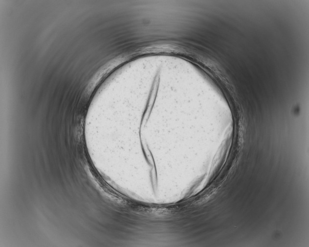 X0000115011233200912071156