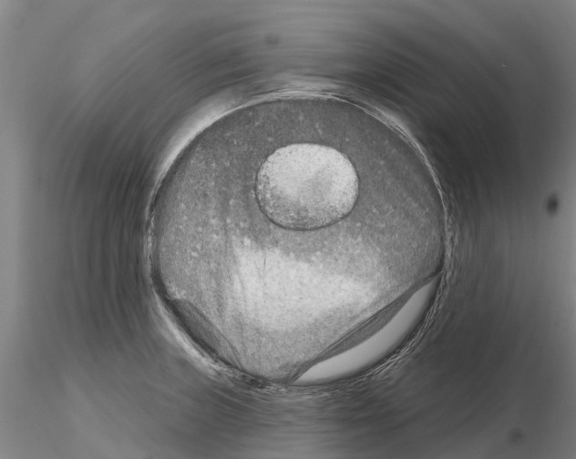 X0000115011235200912071156
