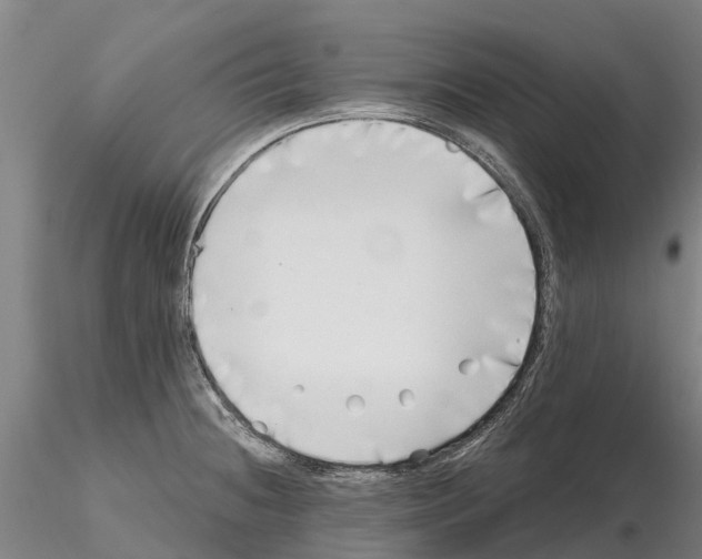 X0000115011236200912071156
