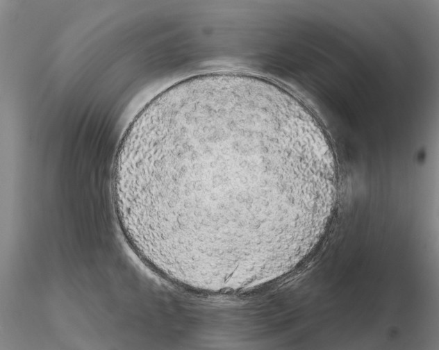 X0000115011239200912071156